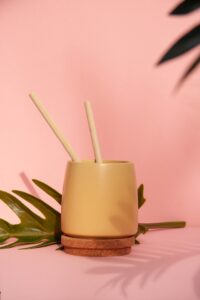 sugarcane straw in drink