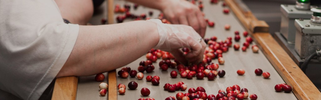 Gleam - Food & Beverage Processing